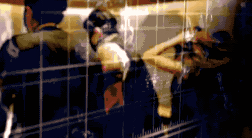 bc4e7a6b0aaf418a8be68d7d15ab49a6.gif